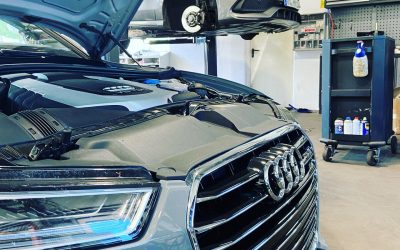 241507801_2941340066195216_933492966026151862_n